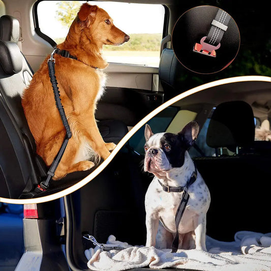 FUREVER PET Flex Dog Seat Belt