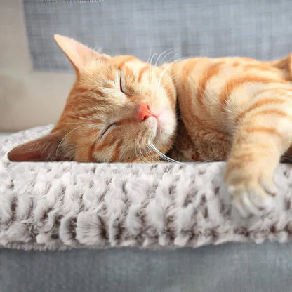 Self-Heating Cat Mat