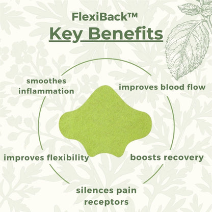 FlexiBack™️ - Natural Back Pain Patches