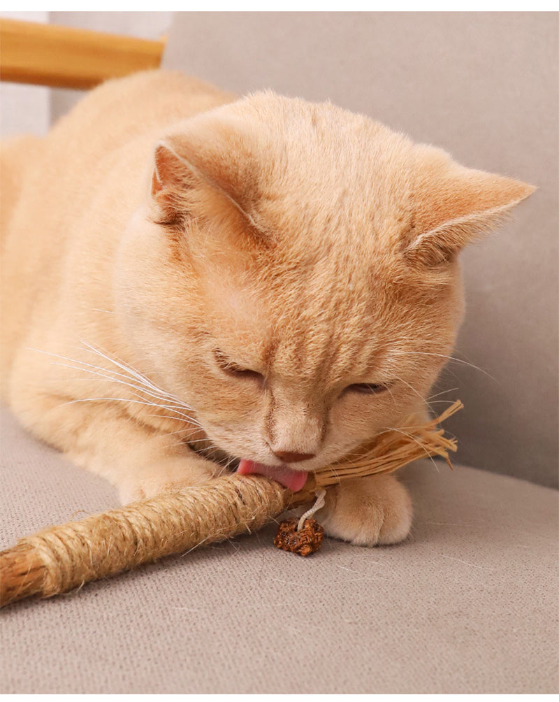 Cat Chew Toys - Infused w/ Catnip