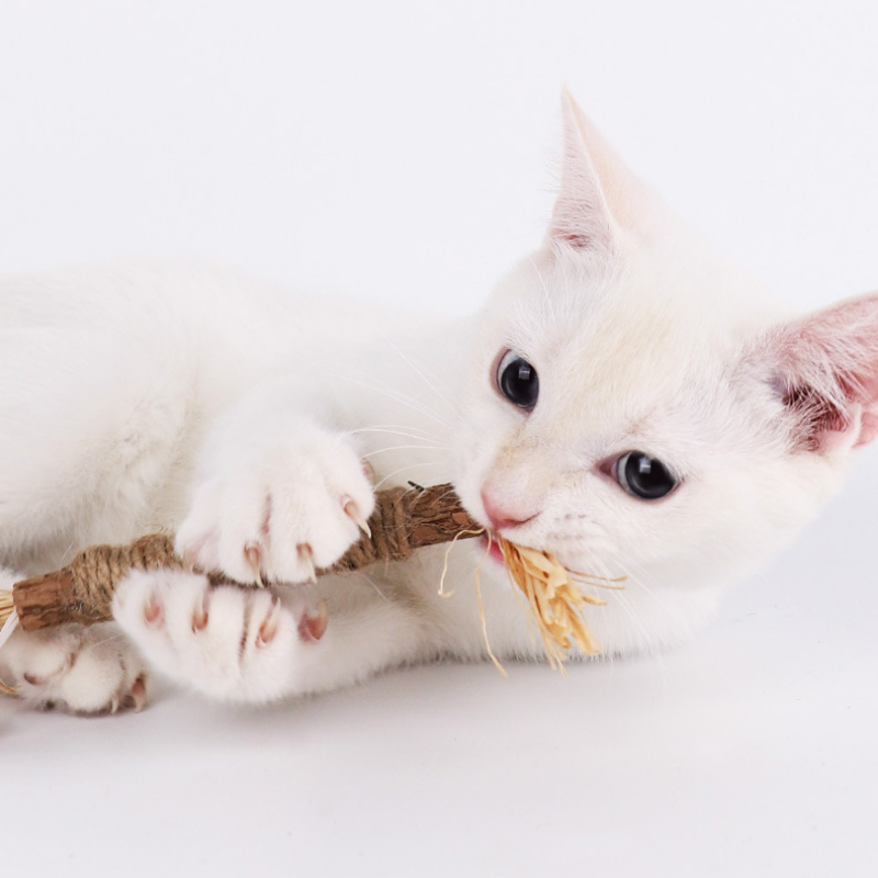 Cat Chew Toys - Infused w/ Catnip