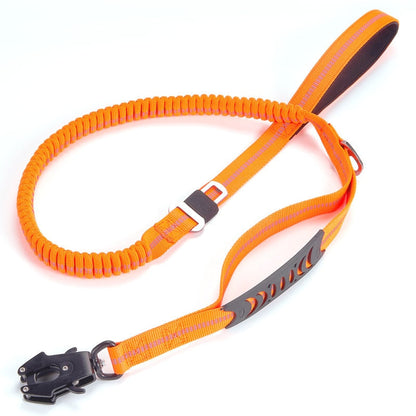 Bungee Dog Leash