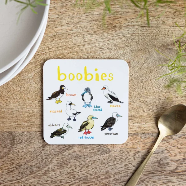 Set of 6 Bird Pun Coasters