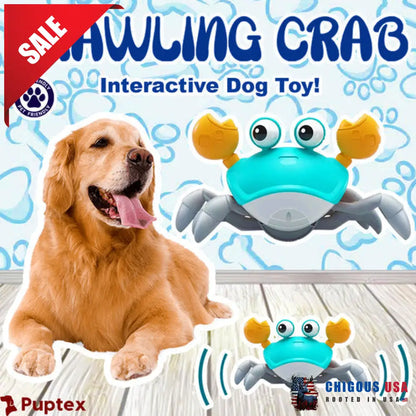 Crawling Crab Interactive Dog Toy