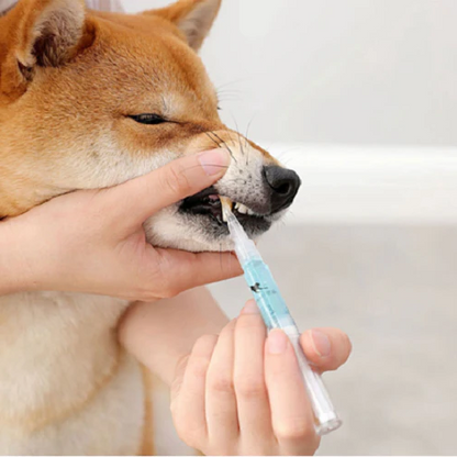 Pet's Teeth Health By Repairing and Preventing Disease