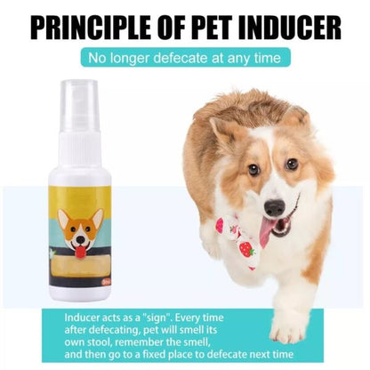 Pet Training Spray