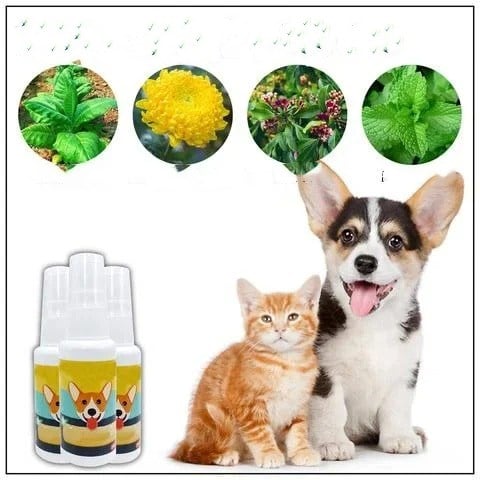 Pet Training Spray