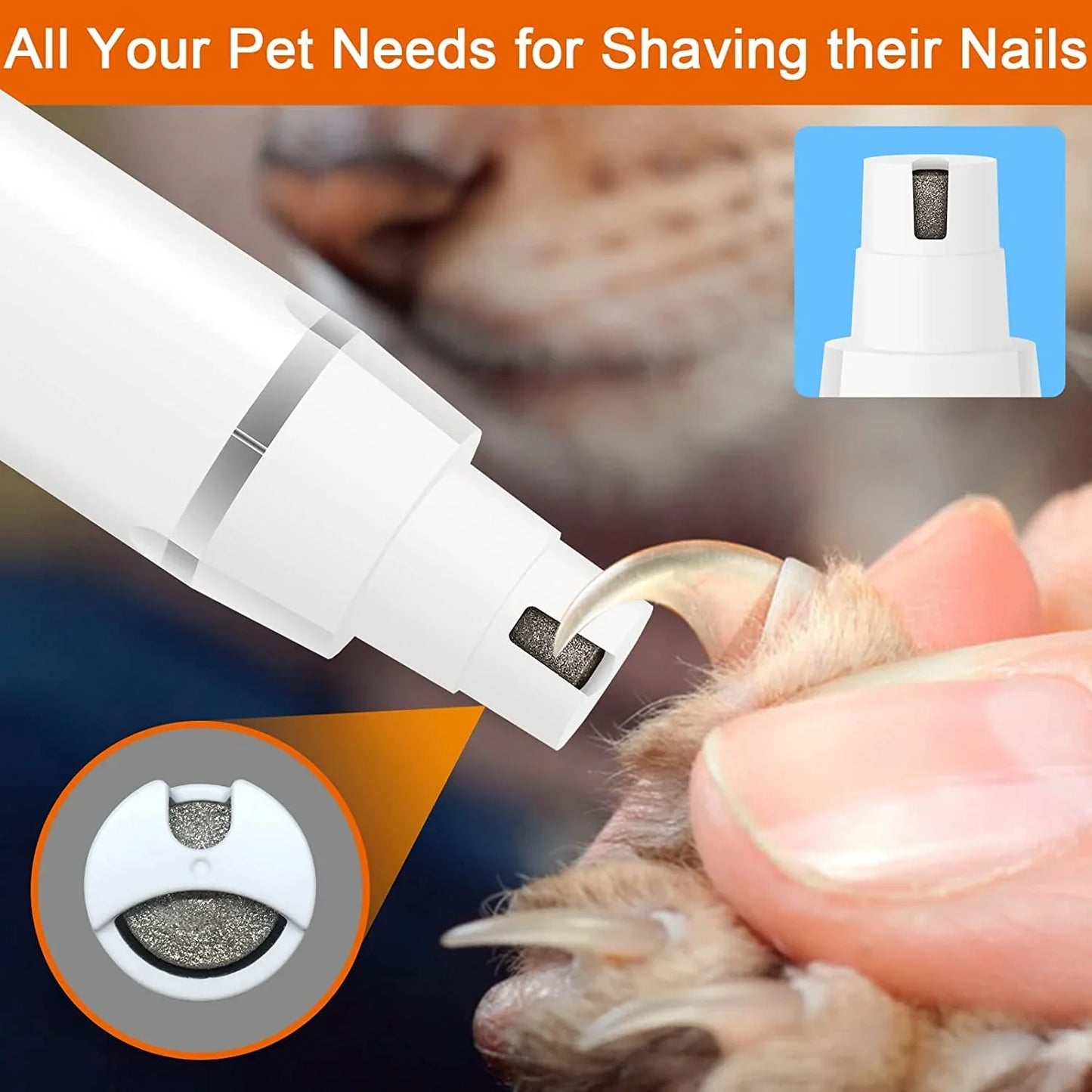 PetClippers – Professional Groomer for Pet Owners